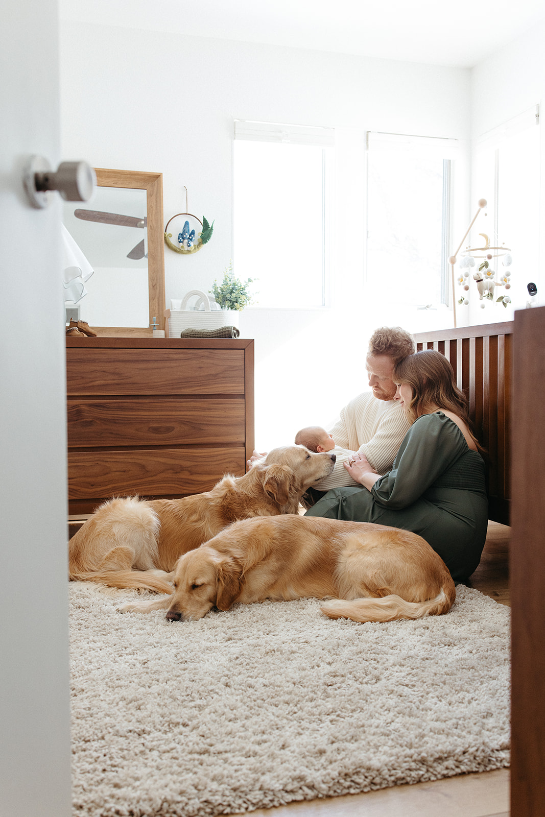 parents with newborn and dogs in home newborn session iowa city iowa