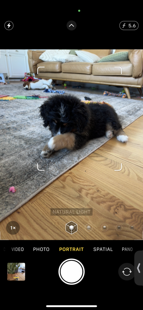 iphone tips for moms